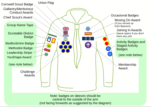 Cub Badge Positions